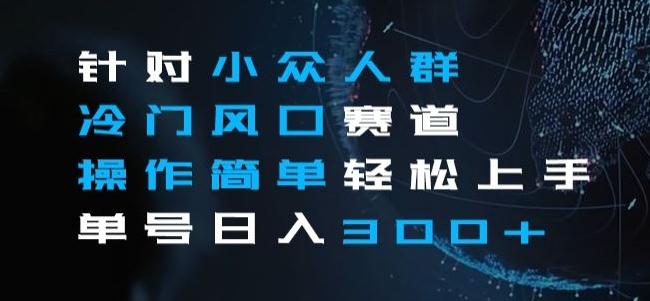 针对小众人群冷门风口赛道，操作简单轻松上手单号日入300+K叔网赚资源-网赚项目-副业赚钱-互联网创业-资源整合K叔网赚资源