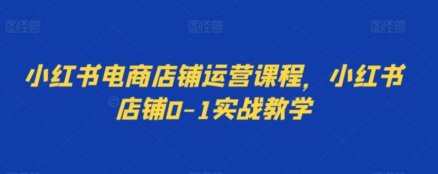 小红书电商店铺运营课程，小红书店铺0-1实战教学K叔网赚资源-网赚项目-副业赚钱-互联网创业-资源整合K叔网赚资源