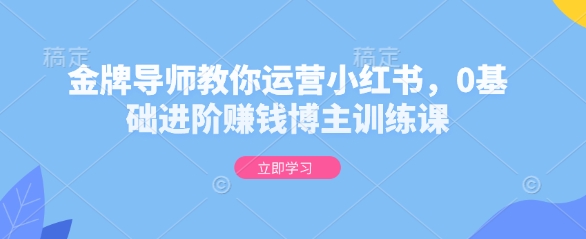 金牌导师教你运营小红书，0基础进阶赚钱博主训练课K叔网赚资源-网赚项目-副业赚钱-互联网创业-资源整合K叔网赚资源