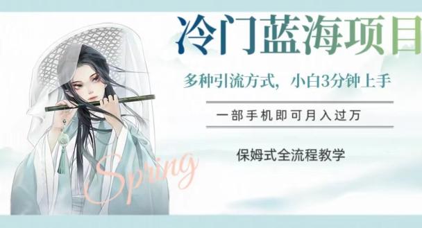 冷门蓝海项目，操作简单，小白3分钟上手，多种引流方式，保姆式全流程教学【揭秘】K叔网赚资源-网赚项目-副业赚钱-互联网创业-资源整合K叔网赚资源