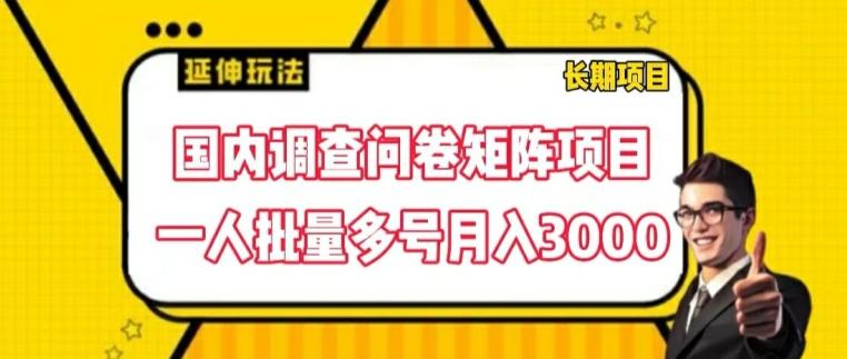 国内调查问卷矩阵项目，一人批量多号月入3000【揭秘】K叔网赚资源-网赚项目-副业赚钱-互联网创业-资源整合K叔网赚资源
