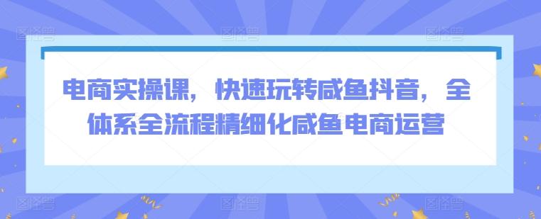 电商实操课，快速玩转咸鱼抖音，全体系全流程精细化咸鱼电商运营K叔网赚资源-网赚项目-副业赚钱-互联网创业-资源整合K叔网赚资源