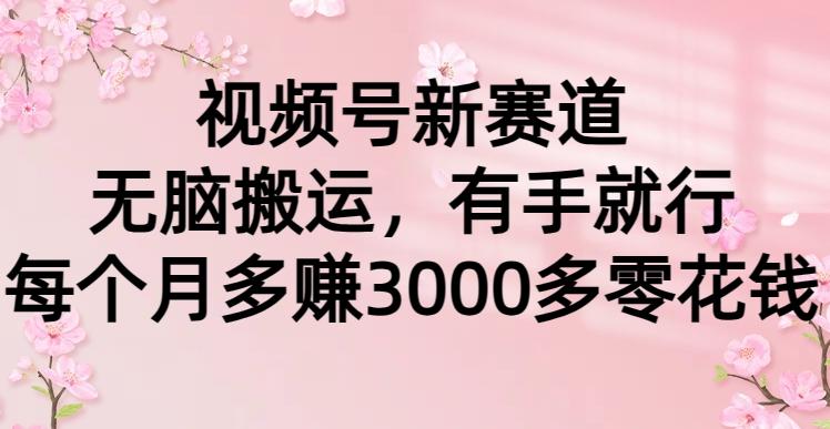 (9278期)视频号新赛道，无脑搬运，有手就行，每个月多赚3000多零花钱K叔网赚资源-网赚项目-副业赚钱-互联网创业-资源整合K叔网赚资源