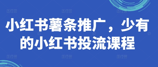 小红书薯条推广，少有的小红书投流课程K叔网赚资源-网赚项目-副业赚钱-互联网创业-资源整合K叔网赚资源