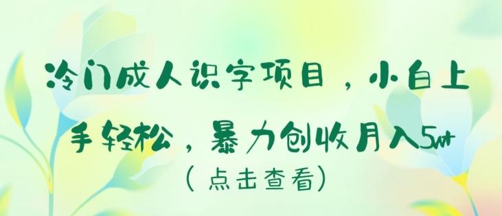 冷门成人识字项目，小白上手轻松，暴力创收月入5w+【揭秘】K叔网赚资源-网赚项目-副业赚钱-互联网创业-资源整合K叔网赚资源