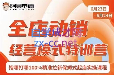 阿呆电商·全店动销经营模式特训营(线下录音+思维导图)K叔网赚资源-网赚项目-副业赚钱-互联网创业-资源整合K叔网赚资源