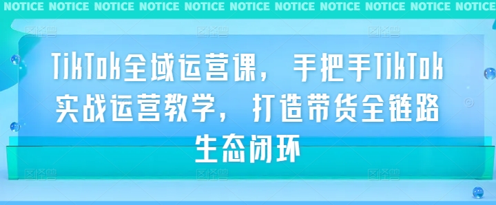 TikTok全域运营课，手把手TikTok实战运营教学，打造带货全链路生态闭环K叔网赚资源-网赚项目-副业赚钱-互联网创业-资源整合K叔网赚资源