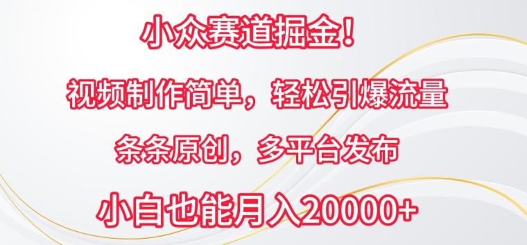 小众赛道掘金，视频制作简单，轻松引爆流量，条条原创，多平台发布【揭秘】K叔网赚资源-网赚项目-副业赚钱-互联网创业-资源整合K叔网赚资源