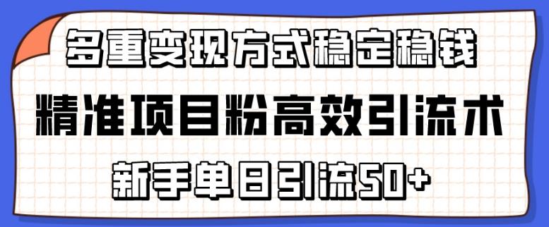 精准项目粉高效引流术，新手单日引流50+，多重变现方式稳定赚钱【揭秘】K叔网赚资源-网赚项目-副业赚钱-互联网创业-资源整合K叔网赚资源