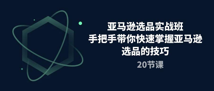 亚马逊选品实战班，手把手带你快速掌握亚马逊选品的技巧(20节课K叔网赚资源-网赚项目-副业赚钱-互联网创业-资源整合K叔网赚资源