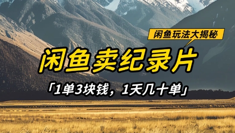 闲鱼卖纪录片1单3块钱，1天几十单，项目稳定有潜力K叔网赚资源-网赚项目-副业赚钱-互联网创业-资源整合K叔网赚资源
