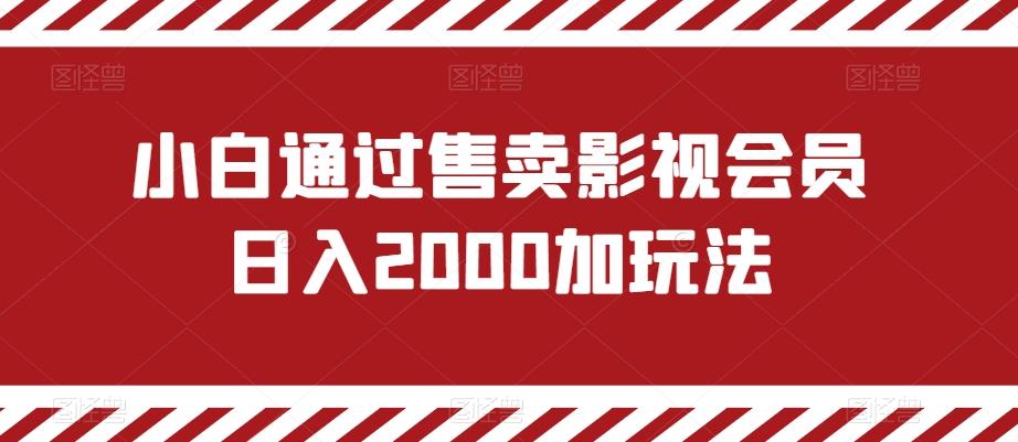 小白通过售卖影视会员日入2000加玩法K叔网赚资源-网赚项目-副业赚钱-互联网创业-资源整合K叔网赚资源