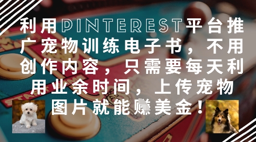 利用Pinterest平台推广宠物训练电子书，不用创作内容，只需要每天利用业余时间，上传宠物图片就能挣美金!K叔网赚资源-网赚项目-副业赚钱-互联网创业-资源整合K叔网赚资源