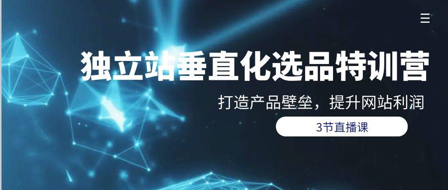 (9925期)独立站-垂直化选品训练营，打造产品壁垒，提升网站利润(3节直播课)K叔网赚资源-网赚项目-副业赚钱-互联网创业-资源整合K叔网赚资源