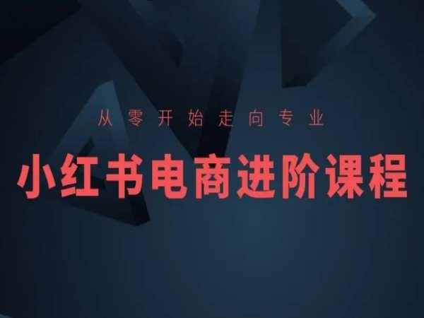 从零开始走向专业，小红书电商进阶课程K叔网赚资源-网赚项目-副业赚钱-互联网创业-资源整合K叔网赚资源