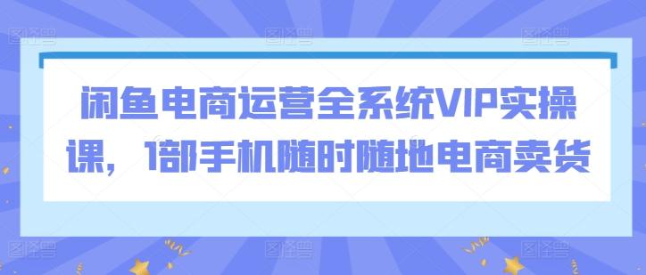 闲鱼电商运营全系统VIP实操课，1部手机随时随地电商卖货K叔网赚资源-网赚项目-副业赚钱-互联网创业-资源整合K叔网赚资源