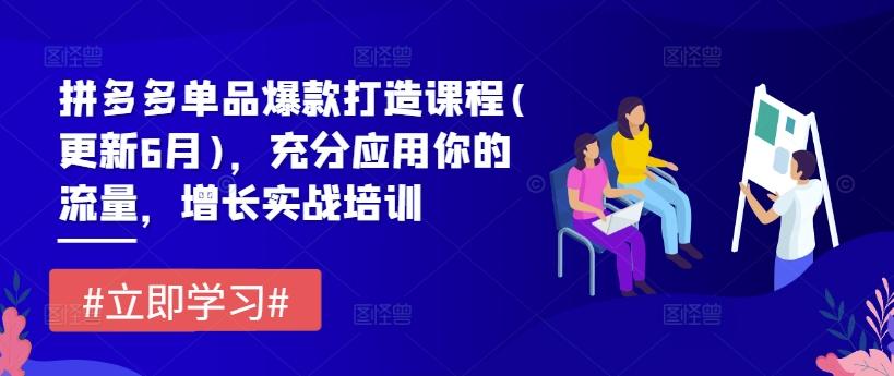 拼多多单品爆款打造课程(更新6月)，充分应用你的流量，增长实战培训K叔网赚资源-网赚项目-副业赚钱-互联网创业-资源整合K叔网赚资源