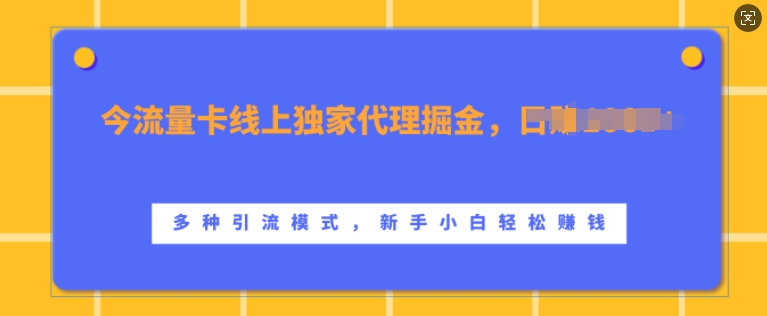 流量卡线上独家代理掘金，日入1k+ ，多种引流模式，新手小白轻松上手【揭秘】K叔网赚资源-网赚项目-副业赚钱-互联网创业-资源整合K叔网赚资源