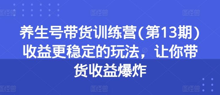 养生号带货训练营(第13期)收益更稳定的玩法，让你带货收益爆炸K叔网赚资源-网赚项目-副业赚钱-互联网创业-资源整合K叔网赚资源