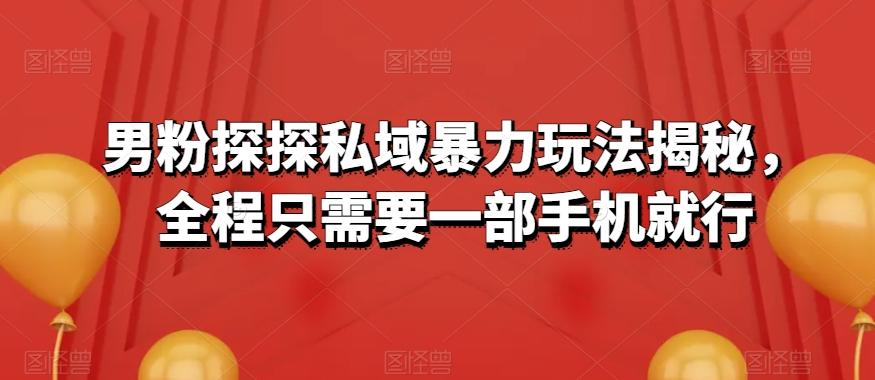 男粉探探私域暴力玩法揭秘，全程只需要一部手机就行K叔网赚资源-网赚项目-副业赚钱-互联网创业-资源整合K叔网赚资源