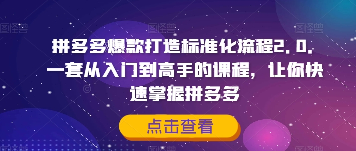 拼多多爆款打造标准化流程2.0，一套从入门到高手的课程，让你快速掌握拼多多K叔网赚资源-网赚项目-副业赚钱-互联网创业-资源整合K叔网赚资源