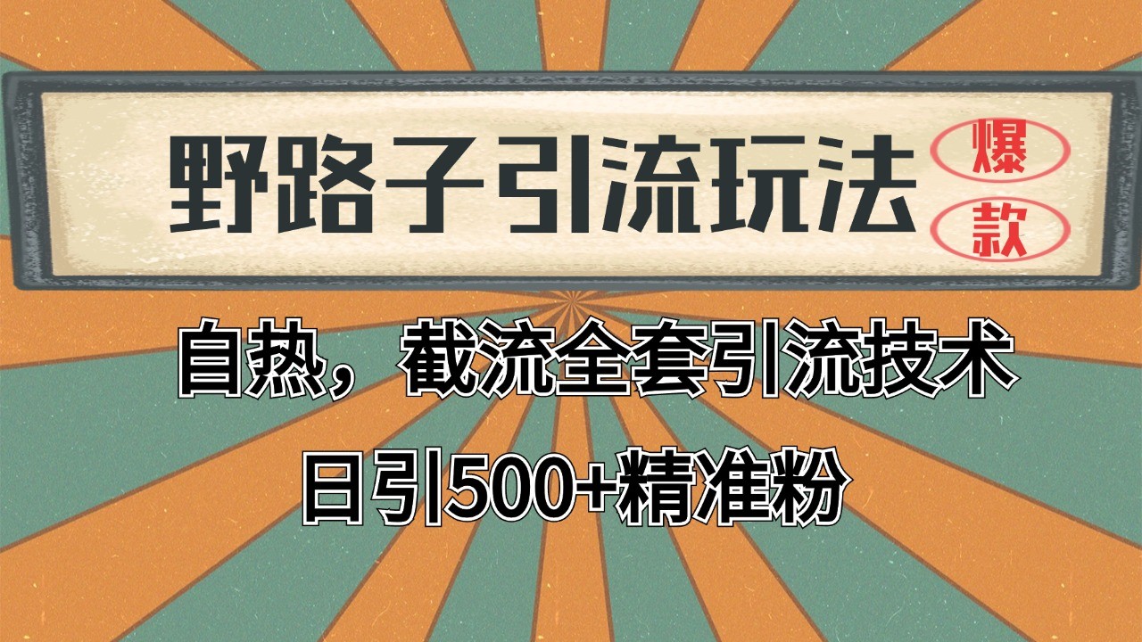 2024首发野路子引流玩法截流自热全平台打法，全自动引流【日引2000+精准客户】K叔网赚资源-网赚项目-副业赚钱-互联网创业-资源整合K叔网赚资源