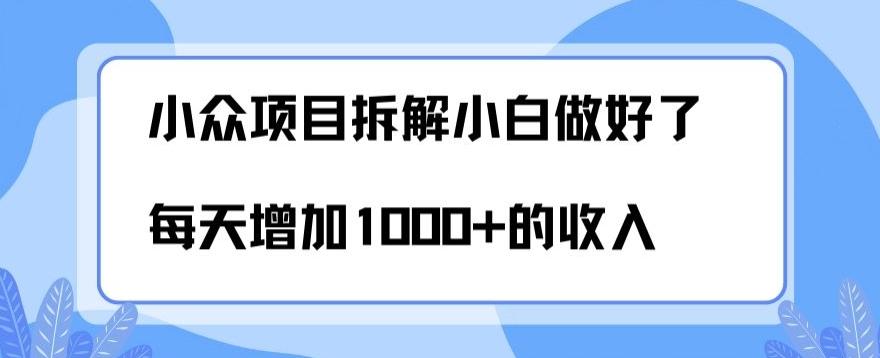 小众项目拆解，小白做好了每天可增加1000多的收入K叔网赚资源-网赚项目-副业赚钱-互联网创业-资源整合K叔网赚资源
