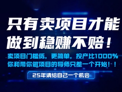 只有卖项目才能做到稳挣不赔，门槛低，更简单，你也可以年入百个W【揭秘】K叔网赚资源-网赚项目-副业赚钱-互联网创业-资源整合K叔网赚资源