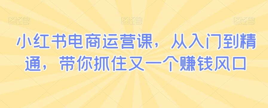 小红书电商运营课，从入门到精通，带你抓住又一个赚钱风口K叔网赚资源-网赚项目-副业赚钱-互联网创业-资源整合K叔网赚资源