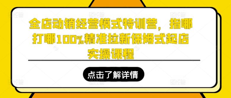 全店动销经营模式特训营，指哪打哪100%精准拉新保姆式起店实操课程K叔网赚资源-网赚项目-副业赚钱-互联网创业-资源整合K叔网赚资源