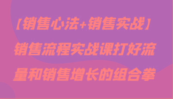 【销售心法+销售实战】销售流程实战课打好流量和销售增长的组合拳K叔网赚资源-网赚项目-副业赚钱-互联网创业-资源整合K叔网赚资源