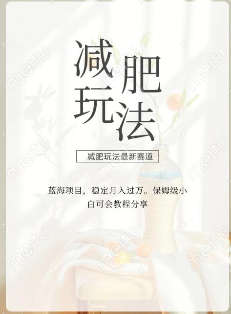 减肥流量主新玩法，轻松月入1W，可矩阵操作收入翻倍K叔网赚资源-网赚项目-副业赚钱-互联网创业-资源整合K叔网赚资源
