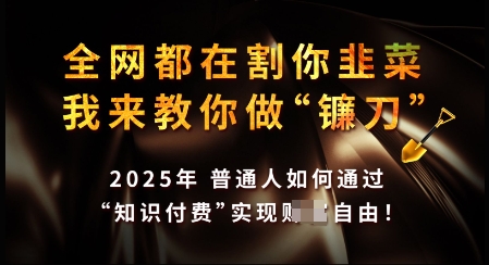 知识付费如何做到月入过W+，2025我来教你做“镰刀”【揭秘】K叔网赚资源-网赚项目-副业赚钱-互联网创业-资源整合K叔网赚资源