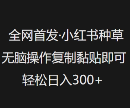 全网首发，小红书种草无脑操作，复制黏贴即可，轻松日入3张K叔网赚资源-网赚项目-副业赚钱-互联网创业-资源整合K叔网赚资源