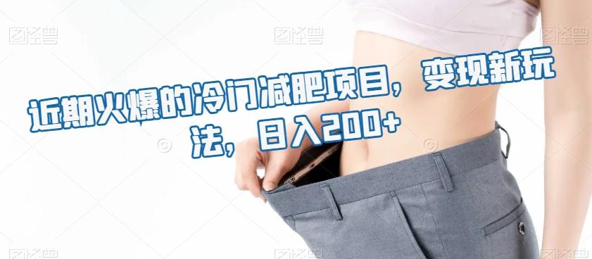 近期火爆的冷门减肥项目，变现新玩法，日入200+K叔网赚资源-网赚项目-副业赚钱-互联网创业-资源整合K叔网赚资源