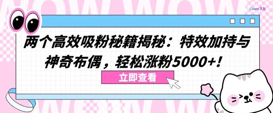 两个高效吸粉秘籍揭秘：特效加持与神奇布偶，轻松涨粉5000+【揭秘】K叔网赚资源-网赚项目-副业赚钱-互联网创业-资源整合K叔网赚资源