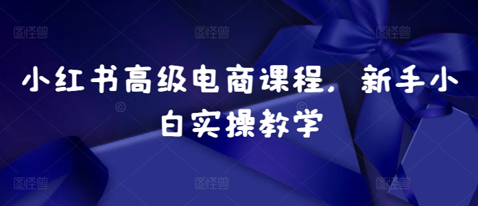 小红书高级电商课程，新手小白实操教学K叔网赚资源-网赚项目-副业赚钱-互联网创业-资源整合K叔网赚资源