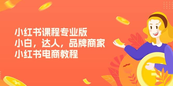 小红书课程专业版，小白，达人，品牌商家，小红书电商教程(15节K叔网赚资源-网赚项目-副业赚钱-互联网创业-资源整合K叔网赚资源