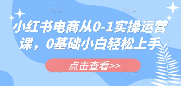 小红书电商从0-1实操运营课，0基础小白轻松上手K叔网赚资源-网赚项目-副业赚钱-互联网创业-资源整合K叔网赚资源