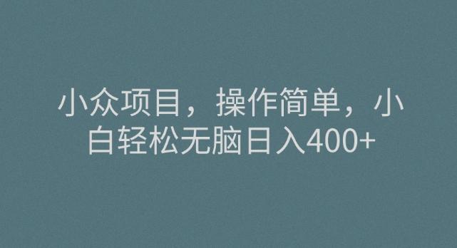 小众项目，操作简单，小白轻松无脑日入400+K叔网赚资源-网赚项目-副业赚钱-互联网创业-资源整合K叔网赚资源