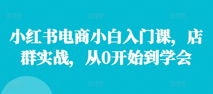 小红书电商小白入门课，店群实战，从0开始到学会K叔网赚资源-网赚项目-副业赚钱-互联网创业-资源整合K叔网赚资源