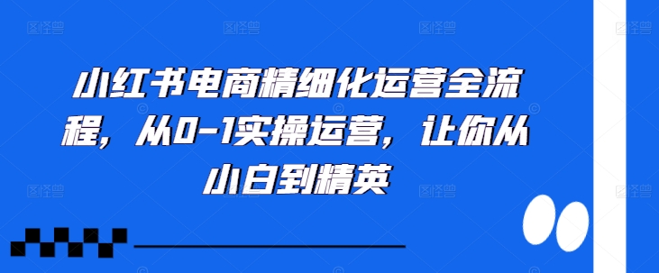 小红书电商精细化运营全流程，从0-1实操运营，让你从小白到精英K叔网赚资源-网赚项目-副业赚钱-互联网创业-资源整合K叔网赚资源