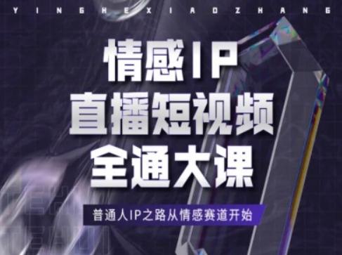 情感IP直播短视频全通大课，普通人IP之路从情感赛道开始K叔网赚资源-网赚项目-副业赚钱-互联网创业-资源整合K叔网赚资源