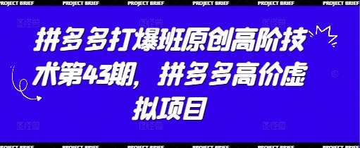拼多多打爆班原创高阶技术第43期，拼多多高价虚拟项目K叔网赚资源-网赚项目-副业赚钱-互联网创业-资源整合K叔网赚资源