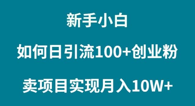 (9556期)新手小白如何通过卖项目实现月入10W+K叔网赚资源-网赚项目-副业赚钱-互联网创业-资源整合K叔网赚资源