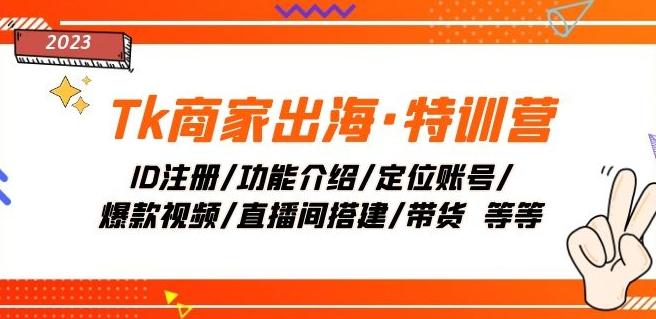 Tk商家出海·特训营：ID注册/功能介绍/定位账号/爆款视频/直播间搭建/带货K叔网赚资源-网赚项目-副业赚钱-互联网创业-资源整合K叔网赚资源