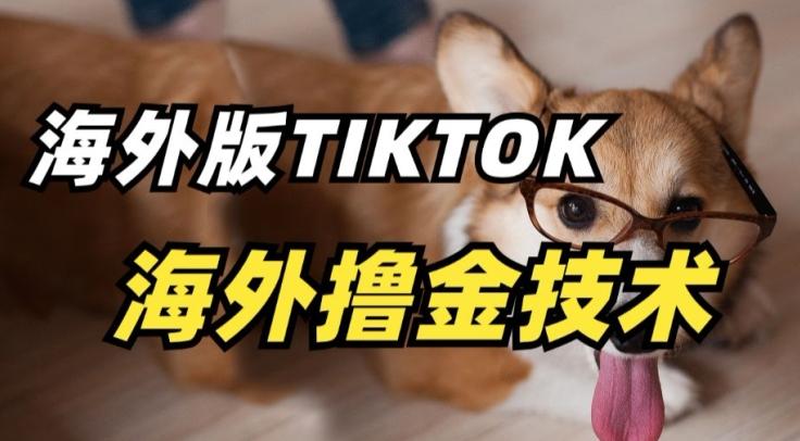 抖音海外版tiktok撸金技术，这个风口行业，赚钱真的不难【揭秘】K叔网赚资源-网赚项目-副业赚钱-互联网创业-资源整合K叔网赚资源