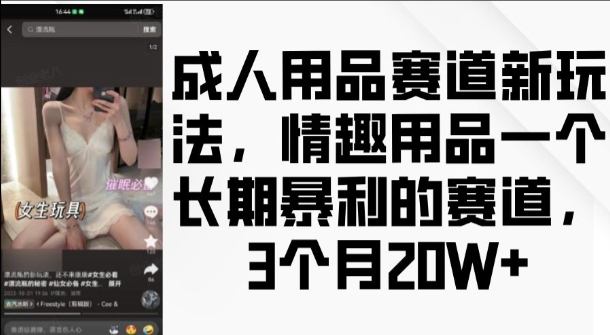 成人用品赛道新玩法，情趣用品一个长期暴利的赛道，3个月收益20个【揭秘】K叔网赚资源-网赚项目-副业赚钱-互联网创业-资源整合K叔网赚资源