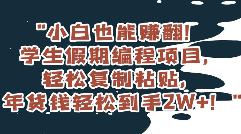 小白也能赚翻！学生假期编程项目，轻松复制粘贴，年货钱轻松到手2W+【揭秘】K叔网赚资源-网赚项目-副业赚钱-互联网创业-资源整合K叔网赚资源
