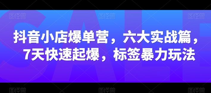 抖音小店爆单营，六大实战篇，7天快速起爆，标签暴力玩法K叔网赚资源-网赚项目-副业赚钱-互联网创业-资源整合K叔网赚资源